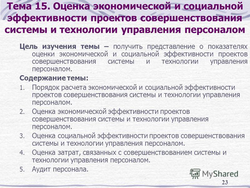 Социально экономическая эффективность проектов