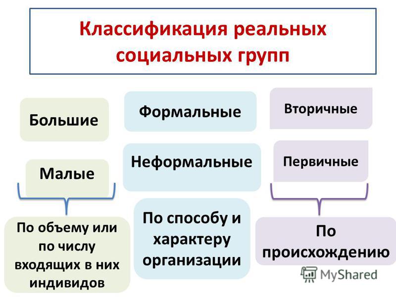 Социальные группы и их виды