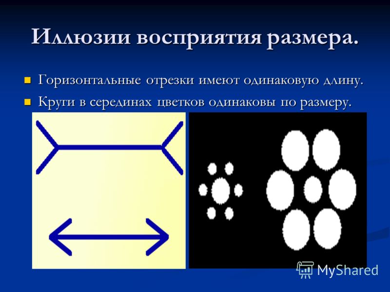 Иллюзия восприятия размера картинки