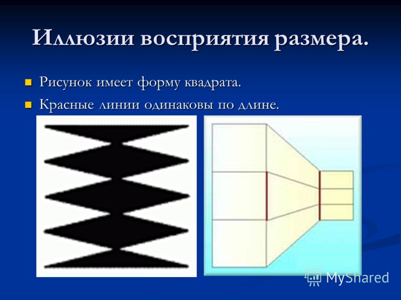 Почему мы видим одинаковые фигуры разными. Иллюзии восприятия. Иллюзия восприятия размера. Оптические иллюзии восприятия размера. Зрительные иллюзии восприятия размера.