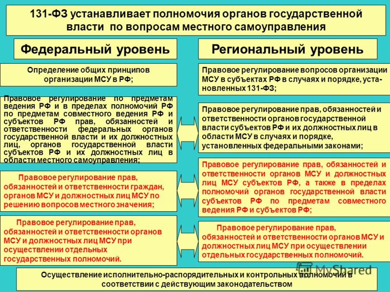 Основной функцией какого ведомства является защита обеспечения. Органы гос власти и местного самоуправления. Полномочия органов власти. Полномочия органов государственной власти. Полномочия местных властей.