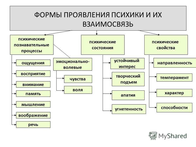 Ощущение восприятие мышление