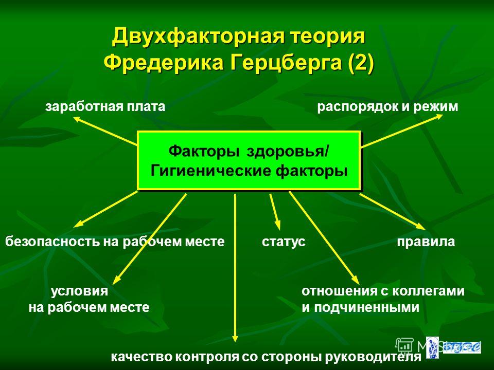 Двухфакторная теория. Факторов Фредерика Герцберга. Гигиенические факторы Фредерика Герцберга:. Теория мотивации Фредерика Герцберга. Двухфакторная теория Герцберга гигиенические факторы.