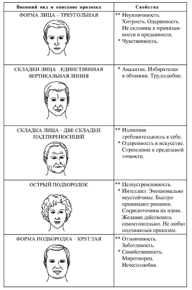 Физиогномика Лица И Характер Мужчины