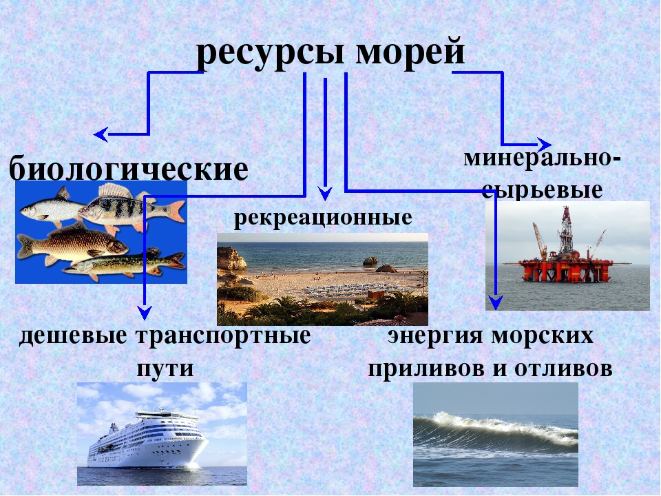 Природные ресурсы белого моря. Ресурсы морей России. Схема ресурсы морей. Ресурсы морей России 8 класс. Биологические ресурсы морей.