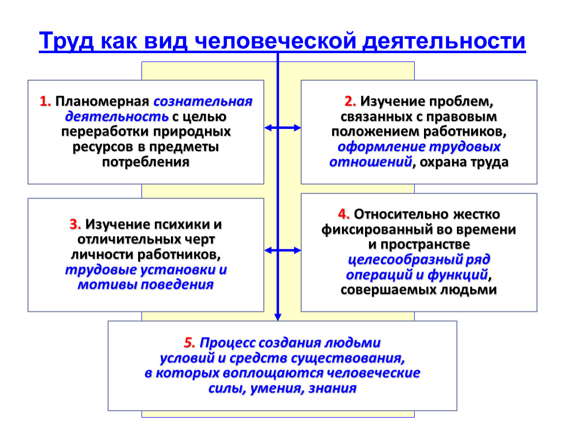 Трудовая деятельность человека план