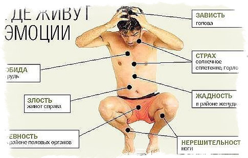 упражнения райха