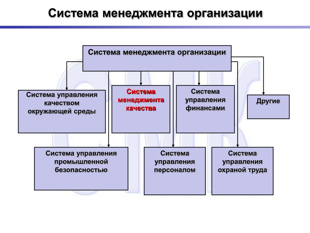 Современный менеджер требования стиль руководства