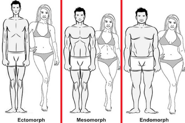 Типы фигур у женщин, мужчин, мезоморф, эктоморф, эндоморф, фото