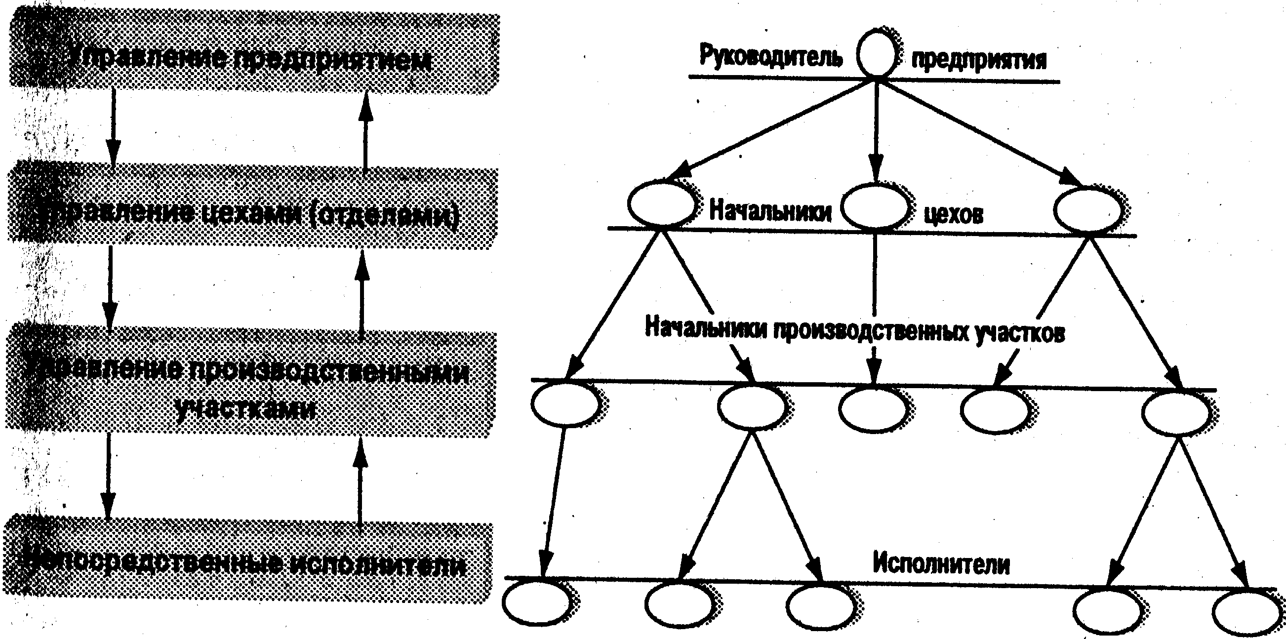 Даны изображения иерархическими системами являются