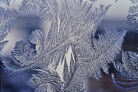 Frost patterns 4.jpg