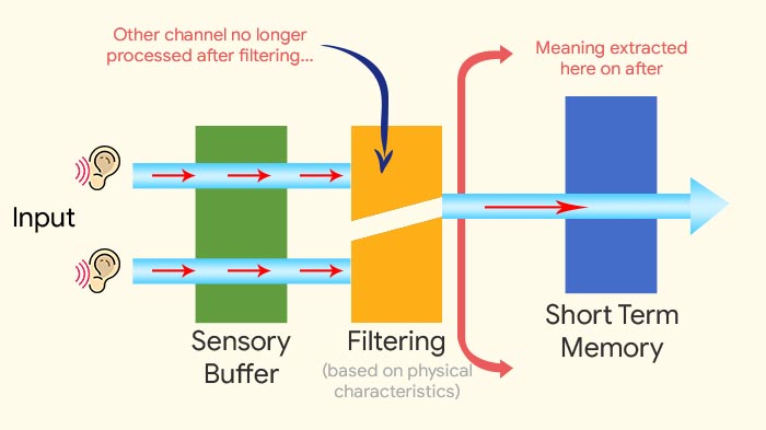 Selective attention theory Broadbent’s Filter Model