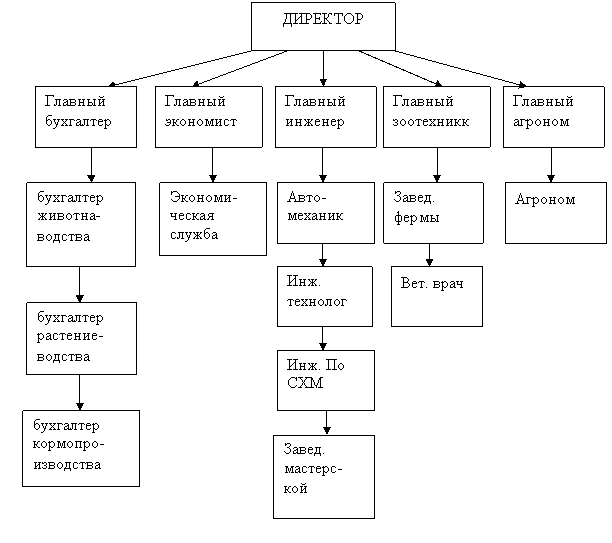 Структура управления кфх схема