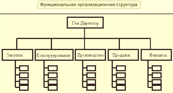 функциональная структура управления пример